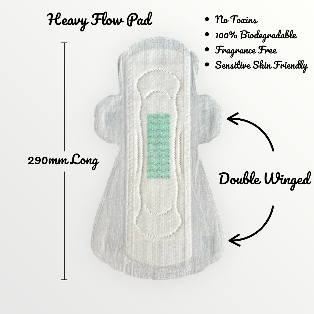 The Pad Box by Wavy Circle